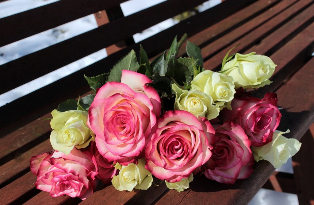 Strauch von Rosen verschiedene Farben Die beliebtesten Rosenarten weltweit