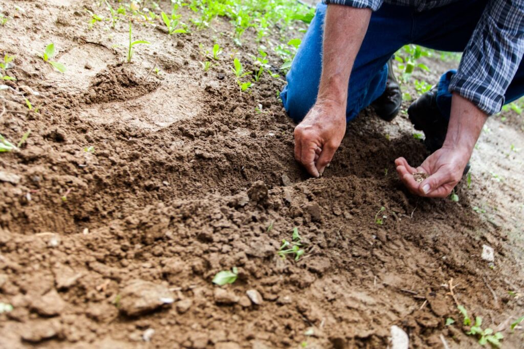 Gartenarbeit Permakultur einfach erklärt Was ist das