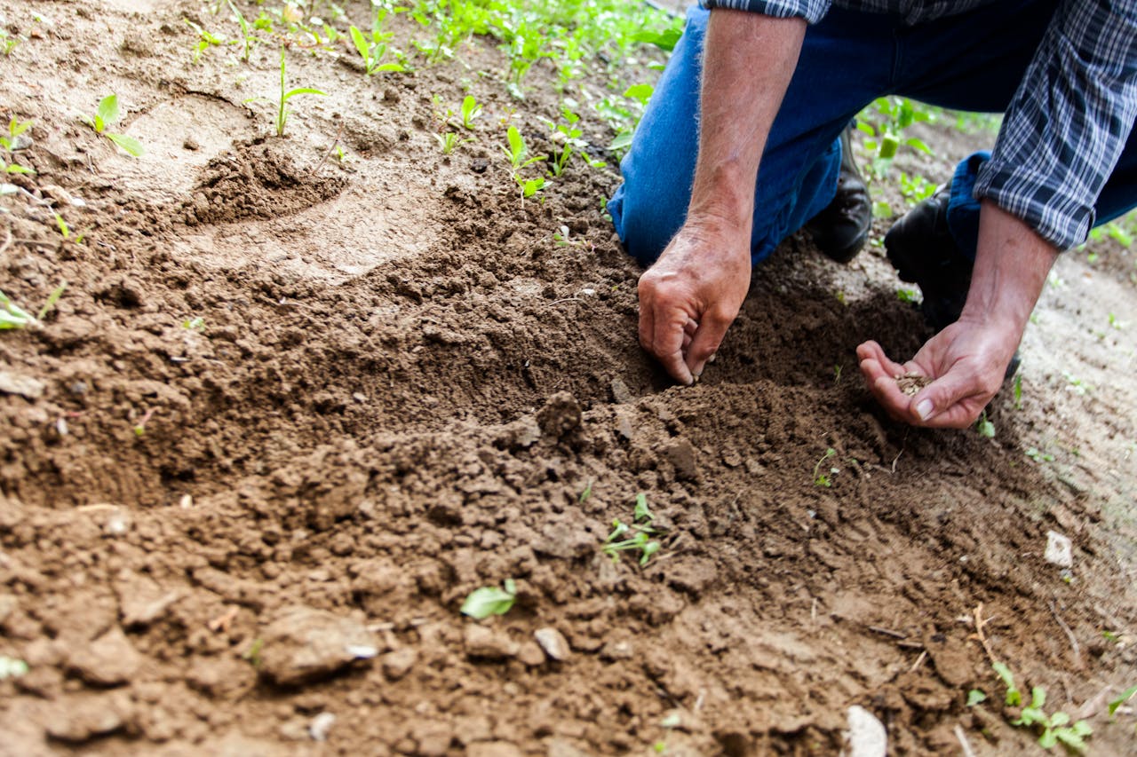 Gartenarbeit Permakultur einfach erklärt Was ist das
