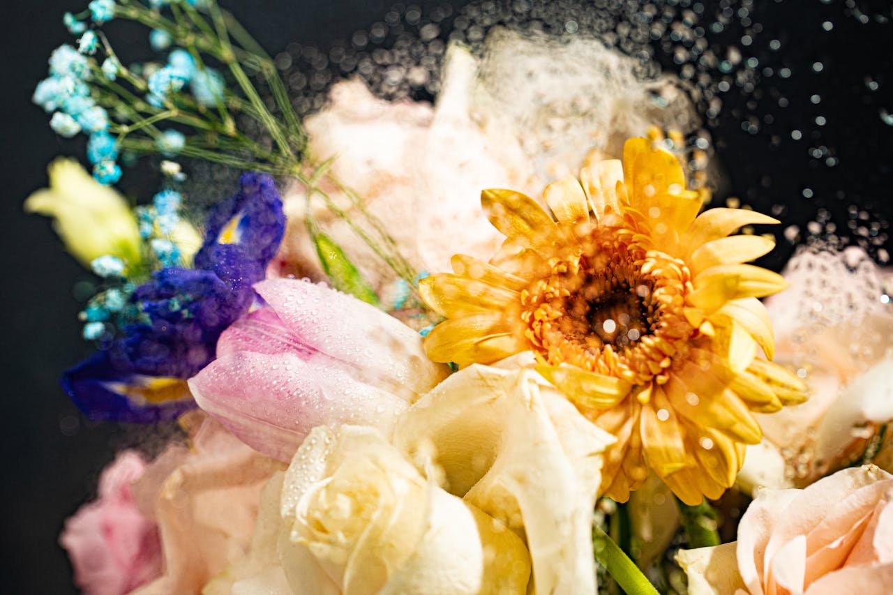 Blumenstrauß verschiedene Pflanzen Halten Rosen oder Tulpen länger – Ein Vergleich